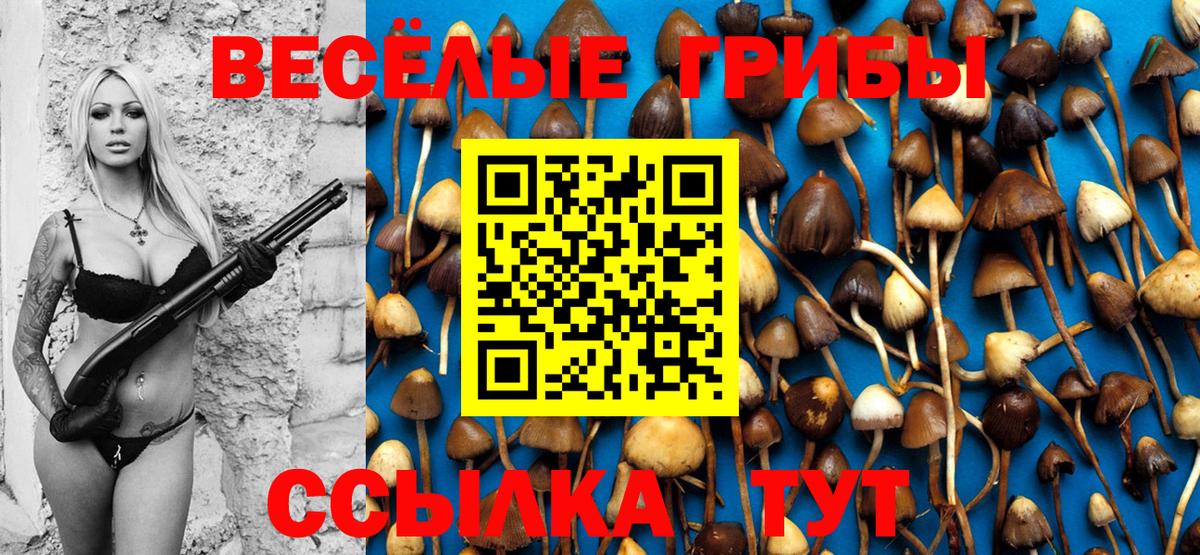 Партизанск  Галлюциногенные грибы мухоморы  Вход с VPN 